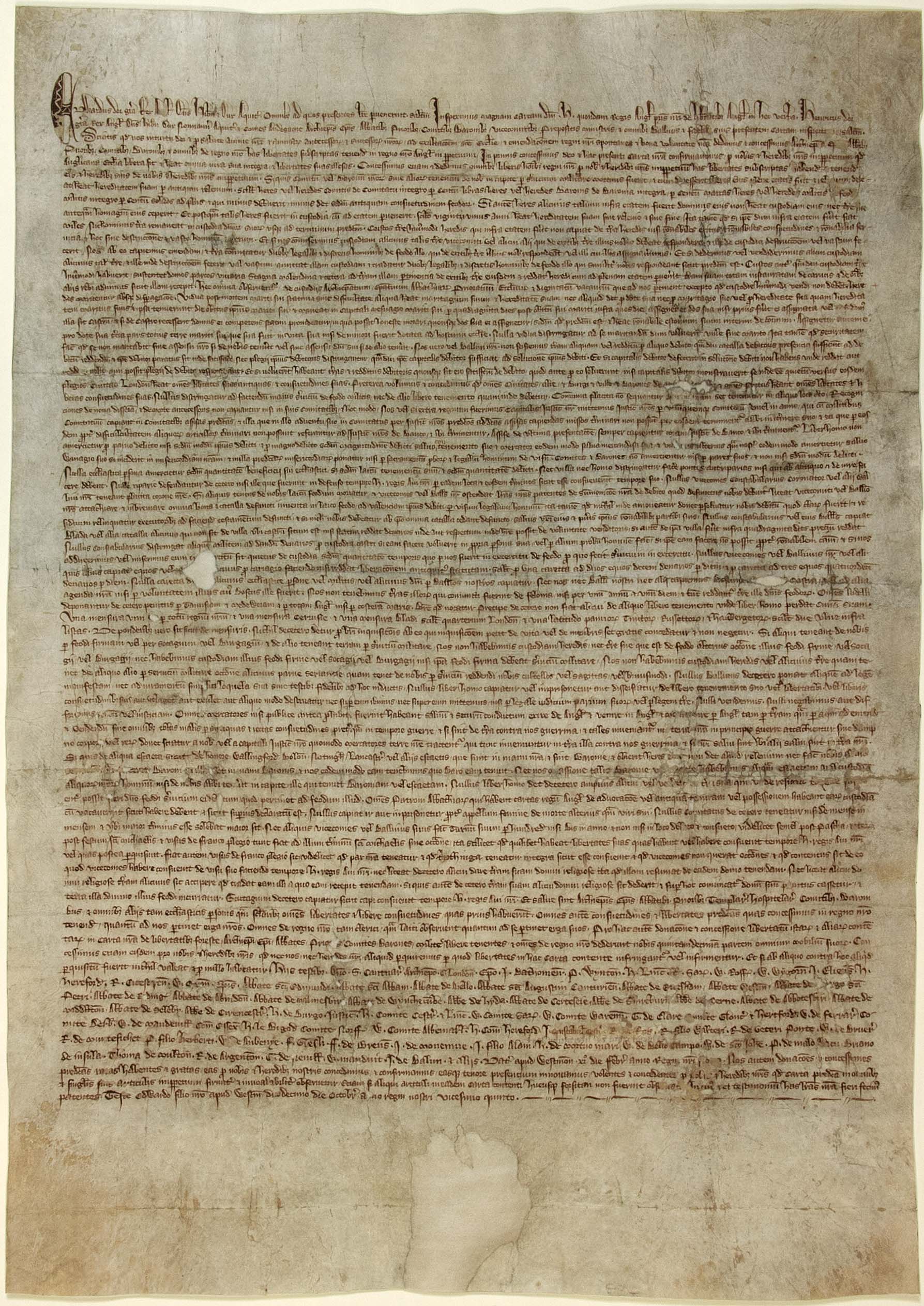 The Story of The Magna Carta